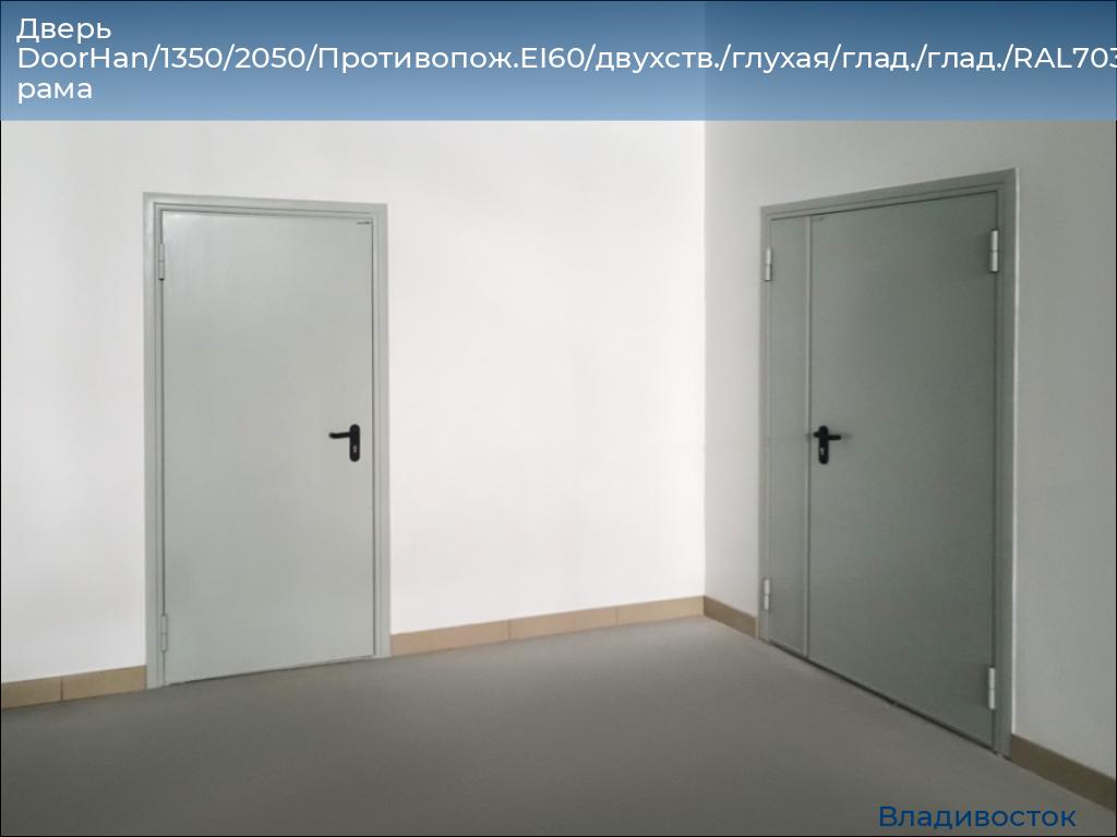 Дверь DoorHan/1350/2050/Противопож.EI60/двухств./глухая/глад./глад./RAL7035/лев./угл. рама, vladivostok.doorhan.ru