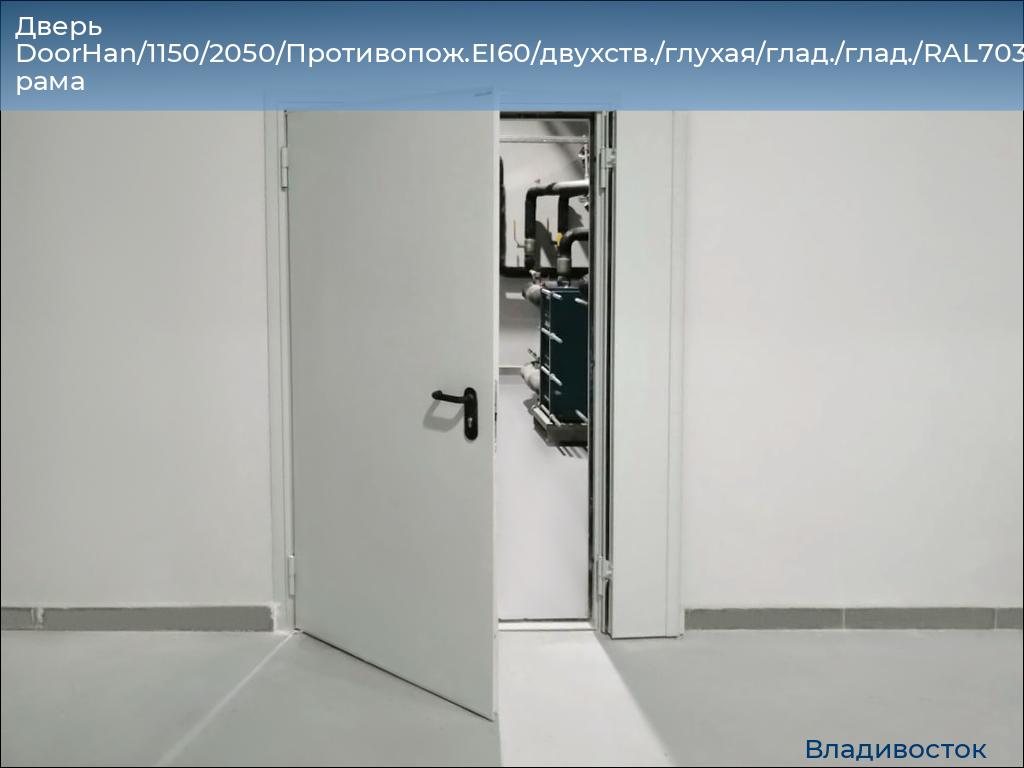 Дверь DoorHan/1150/2050/Противопож.EI60/двухств./глухая/глад./глад./RAL7035/прав./угл. рама, vladivostok.doorhan.ru
