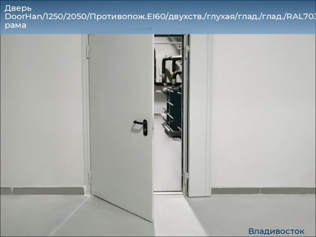 Дверь DoorHan/1250/2050/Противопож.EI60/двухств./глухая/глад./глад./RAL7035/лев./угл. рама, vladivostok.doorhan.ru