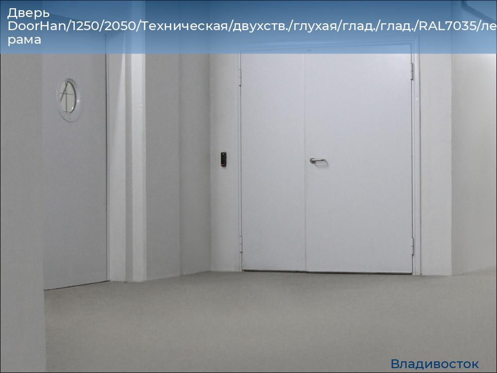 Дверь DoorHan/1250/2050/Техническая/двухств./глухая/глад./глад./RAL7035/лев./угл. рама, vladivostok.doorhan.ru