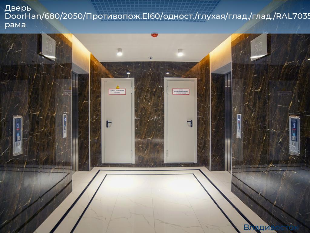 Дверь DoorHan/680/2050/Противопож.EI60/одност./глухая/глад./глад./RAL7035/лев./угл. рама, vladivostok.doorhan.ru