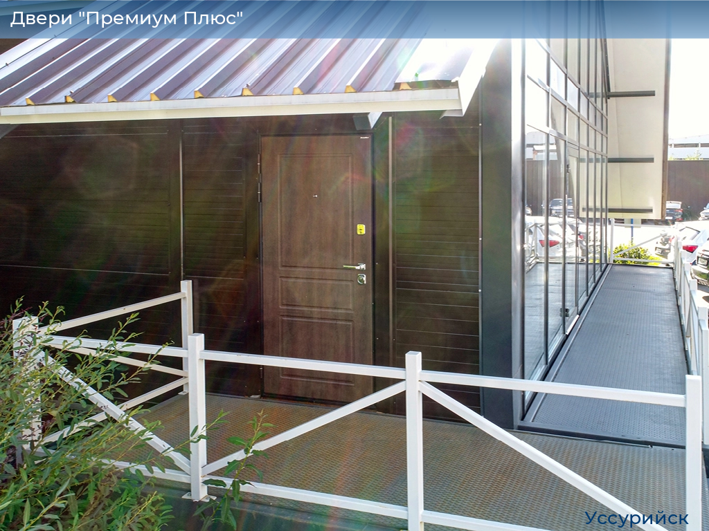 Двери "Премиум Плюс", 