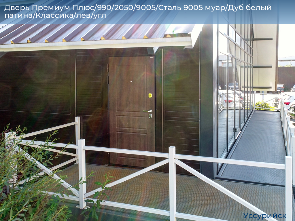 Дверь Премиум Плюс/990/2050/9005/Сталь 9005 муар/Дуб белый патина/Классика/лев/угл, ussuriysk.doorhan.ru