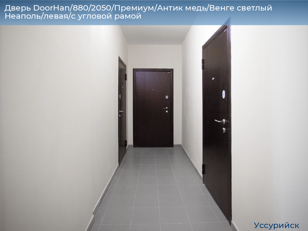 Дверь DoorHan/880/2050/Премиум/Антик медь/Венге светлый Неаполь/левая/с угловой рамой, ussuriysk.doorhan.ru
