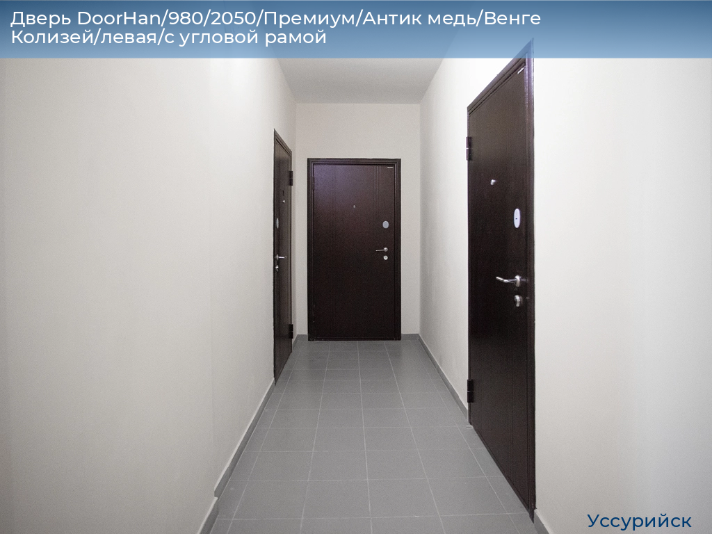 Дверь DoorHan/980/2050/Премиум/Антик медь/Венге Колизей/левая/с угловой рамой, ussuriysk.doorhan.ru