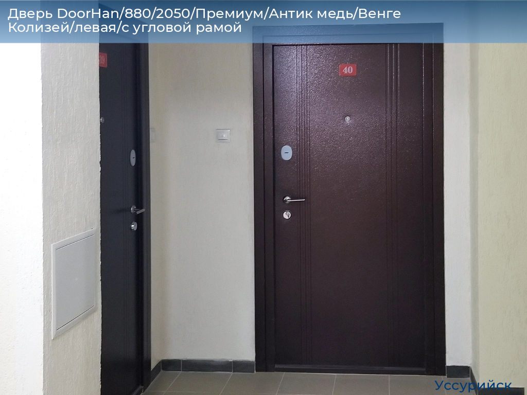 Дверь DoorHan/880/2050/Премиум/Антик медь/Венге Колизей/левая/с угловой рамой, ussuriysk.doorhan.ru