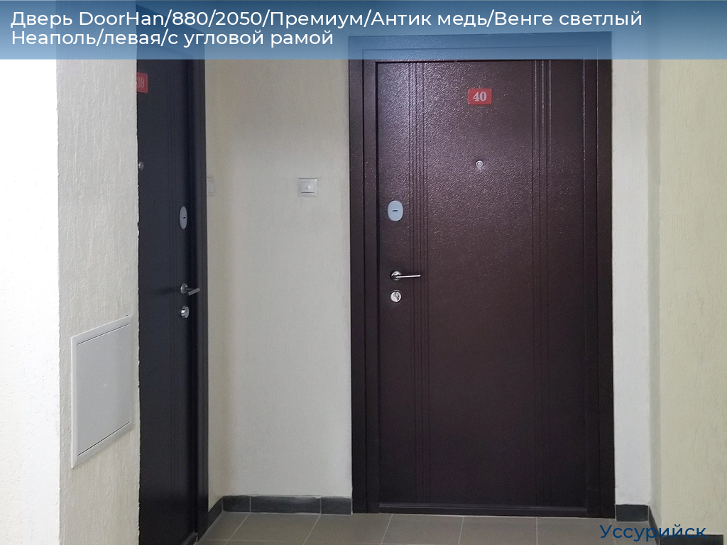 Дверь DoorHan/880/2050/Премиум/Антик медь/Венге светлый Неаполь/левая/с угловой рамой, ussuriysk.doorhan.ru