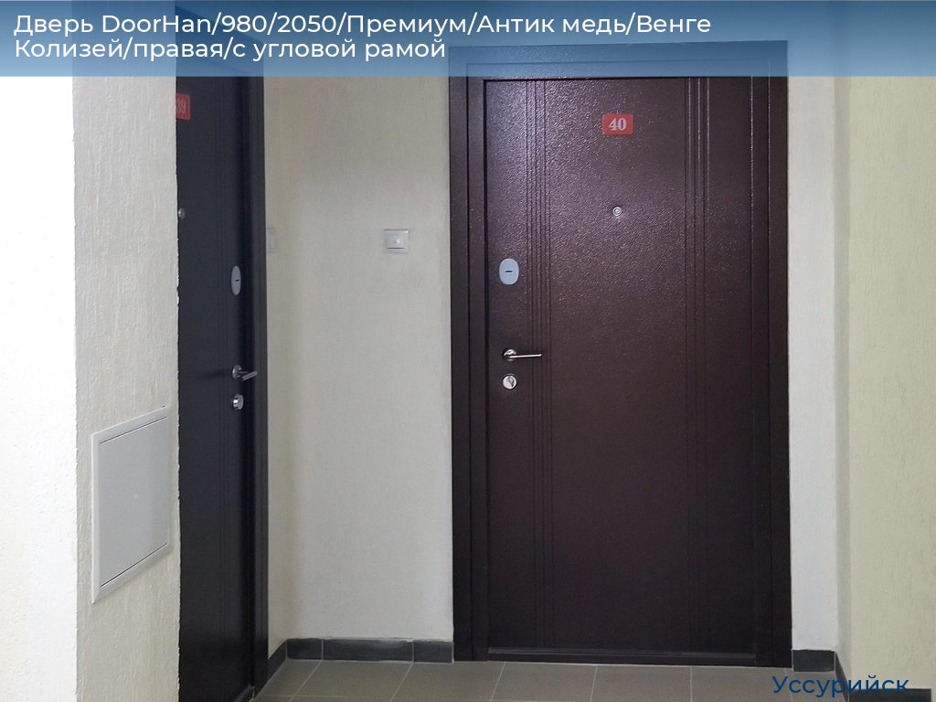 Дверь DoorHan/980/2050/Премиум/Антик медь/Венге Колизей/правая/с угловой рамой, ussuriysk.doorhan.ru